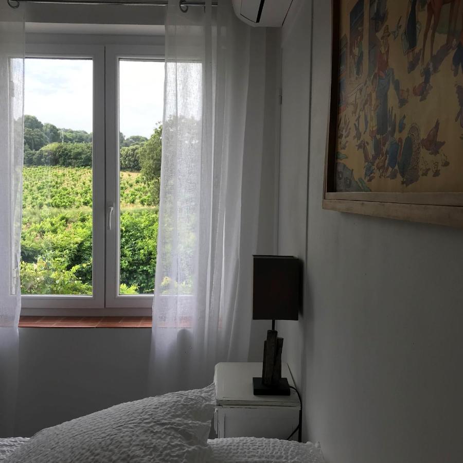 Chambres D'Hotes Et Gites Le Mas Mellou Оранж Екстериор снимка